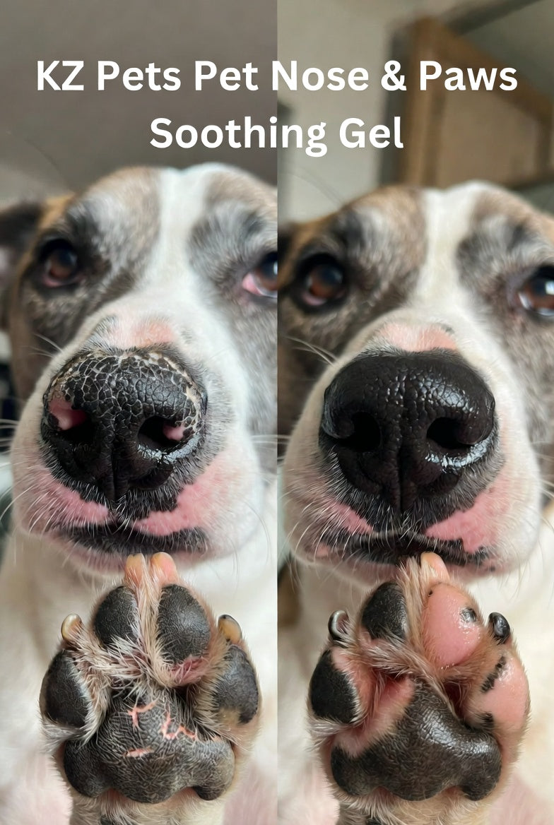 Pet Nose & Paws Soothing Gel - 40ml