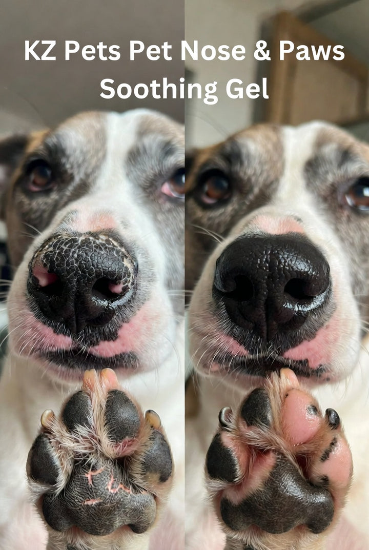 Pet Nose & Paws Soothing Gel - 40ml