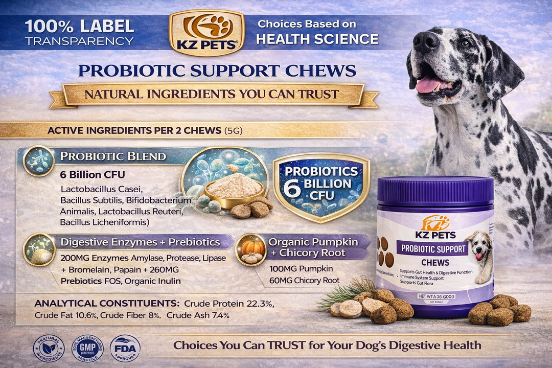 KZ Pets Probiotic Support Chews packaging with a dog and product details.