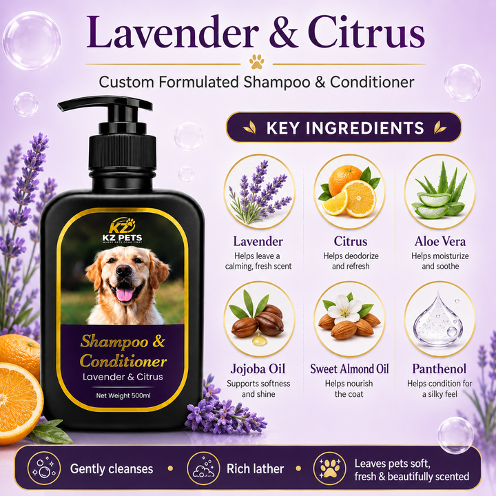 Lavender & Citrus Shampoo & Conditioner